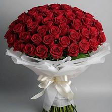 Букет 101 Красная роза Блэк Мэджик в Осе Иркутской области