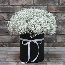 Цветочная композиция из Гипсофила в шляпной коробке в Осе Иркутской области