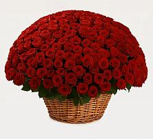 Премиум букет из: Розы в Осе Иркутской области